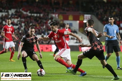 Phân tích Moreirense vs SL Benfica 22h30 ngày 8/12