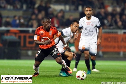 Đội hình Lorient vs Montpellier 21h ngày 29/11