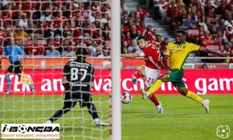Phân tích SL Benfica vs Pacos Ferreira 2h15 ngày 31/8
