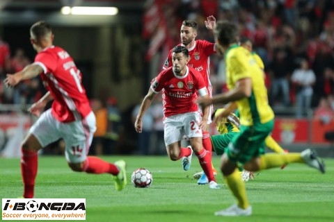 Phân tích SL Benfica vs Pacos Ferreira 3h ngày 7/12
