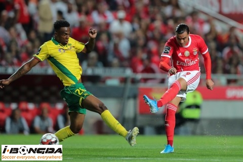 Nhận định dự đoán Pacos Ferreira vs SL Benfica 2h15 ngày 14/5