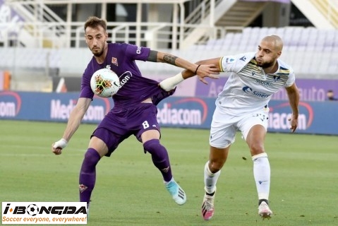 Đội hình Fiorentina vs Hellas Verona 21h ngày 19/12