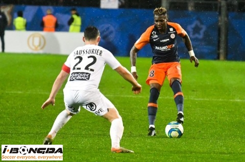 Phân tích Stade Brestois vs Montpellier 19h ngày 20/12