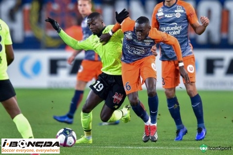 Đội hình Lille vs Montpellier 2h ngày 17/4