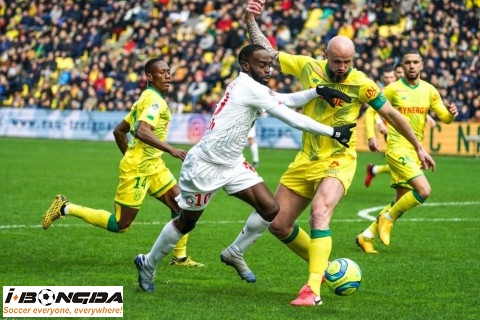 Đội hình Nantes vs Lille 22h59 ngày 7/2