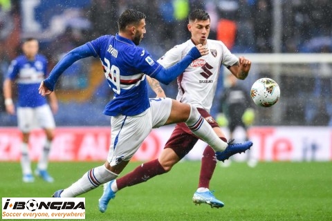 Phân tích Torino vs Sampdoria 1h45 ngày 31/10