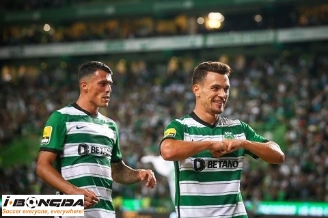 Nhận định dự đoán Sporting Lisbon vs Maritimo 3h45 ngày 14/12