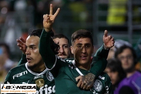 Nhận định dự đoán Palmeiras vs Fortaleza 5h ngày 18/5