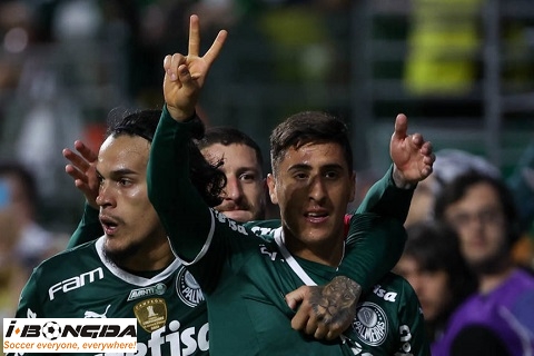 Nhận định dự đoán Deportivo Pereira vs Palmeiras 7h30 ngày 24/8
