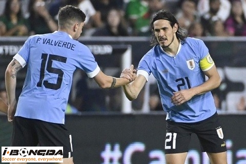 Nhận định dự đoán Uruguay vs Bolivia 6h30 ngày 22/11