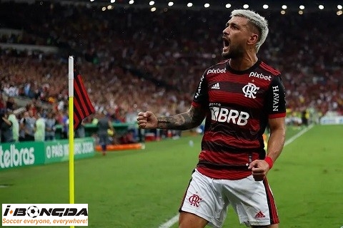 Phân tích Sao Paulo vs Flamengo 7h30 ngày 7/12
