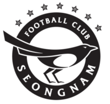 Đội bóng Seongnam FC