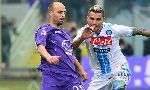 Fiorentina 1-1 Napoli (Highlights vòng 21, giải VĐQG Italia 2012-13)