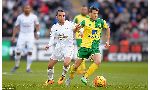 Swansea City 1 - 0 Norwich City (Ngoại Hạng Anh 2015-2016, vòng 29)